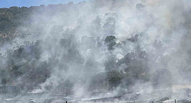 Ankara'da tarla yangını söndürüldü