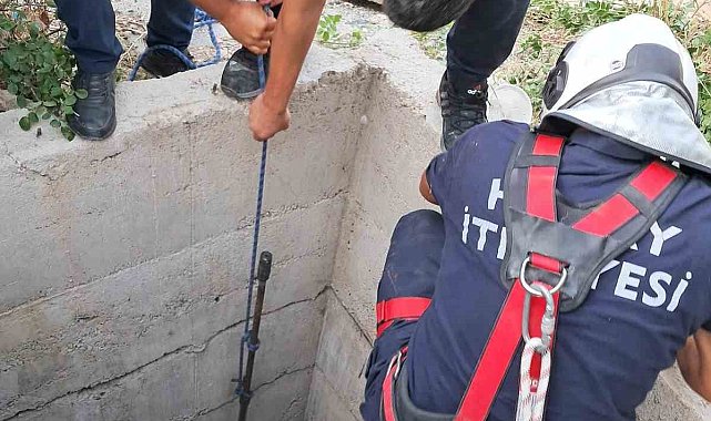Antakya'da 10 metrelik kuyuya düşen köpeği itfaiye kurtardı