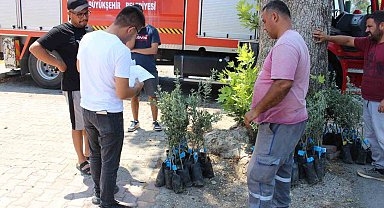 Antalya Büyükşehir Belediyesi'nden zeytin seferberliği