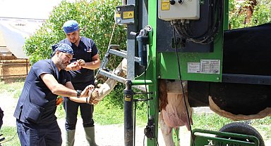 Antalya Büyükşehir'den çobanlara destek