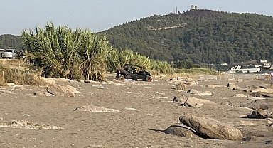 Antalya'da caretta caretta yuvaları zarar gördü