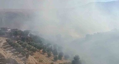Antalya'da evlere yakın bölgede yangın