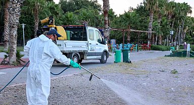 Antalya'da haşerelere karşı mücadele çalışmaları mesire alanlarında da sürüyor