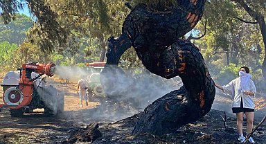 Antalya'daki orman yangınında duygulandıran anlar