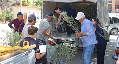 Antalya'nın 19 ilçesine 40 bin zeytin fidanı desteği