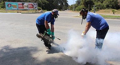 Antalya'nın tüm ilçelerinde haşereyle mücadele sürüyor