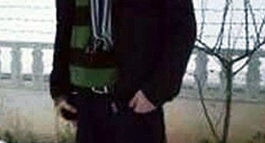 Arı sokması can aldı