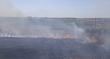 Arnavutköy'de tarla yangını