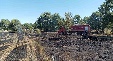 Arpa ekili alanda çıkan yangın ormanlık alana sıçramadan söndürüldü
