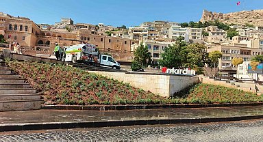 Artuklu ve Cumhuriyet Meydanı lavanta ile renklendi