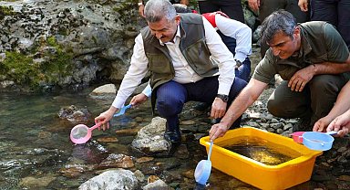 Artvin'de 5 bin kırmızı benekli alabalık doğaya salındı