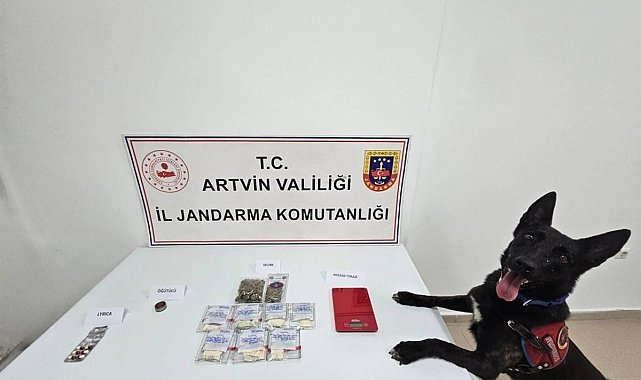 Artvin'de uyuşturucu operasyonu: 2 kişi tutuklandı