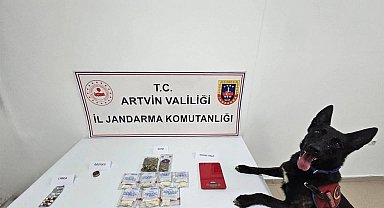 Artvin'de uyuşturucu operasyonu: 2 kişi tutuklandı