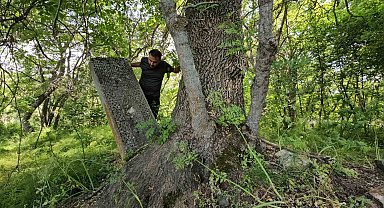Asırlık mezarlar ağaçların arasında kayboldu