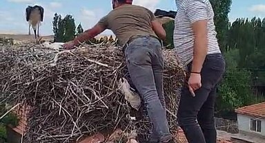 Ayağına ip dolanan leyleği itfaiye ekipleri kurtardı