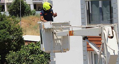 Aydın'da balkonda sıkışan kumruyu vatandaşın dikkati kurtardı