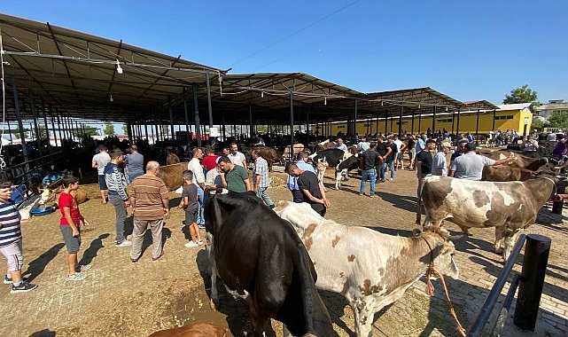 Aydın'da hayvan pazarları şap hastalığı tedbirleri kapsamında kapatıldı