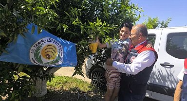 Aydın'da üreticilere 12 bin Akdeniz meyve sineği tuzağı teslim edildi