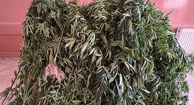 Aydın'da uyuşturucu tacirlerine operasyon
