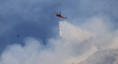 Aydın'daki orman yangınında 7 hava aracı, 244 personel alevlerle mücadele ediyor