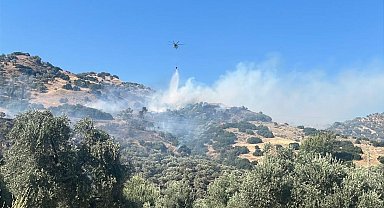 Aydın'daki yangında 2 kişi gözaltına alındı