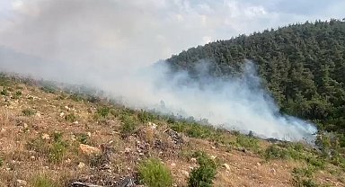 Aynı bölgede 15 günde 2'nci orman yangını