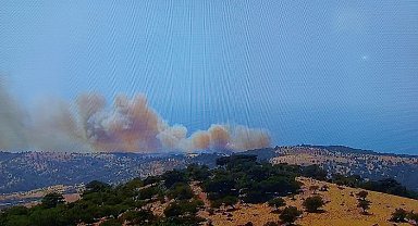 Ayvacık'ta başlayan orman yanınına müdahale ediliyor