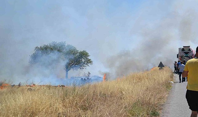 Ayvalık'ta çıkan arazi yangını bölgedeki iş yerlerini tehdit etti