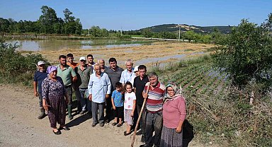 Bafra'da su kanalı taştı, mahsuller sular altında: Üreticiler tepkili