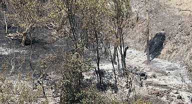 Bakan Yardımcısı Polat, Geyve yangınındaki son durumu açıkladı