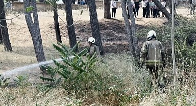 Bakırköy Ruh ve Sinir Hastalıkları Hastanesi bahçesinde yangın