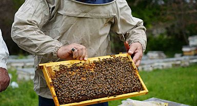 Bal verimi yüzde 40 düştü