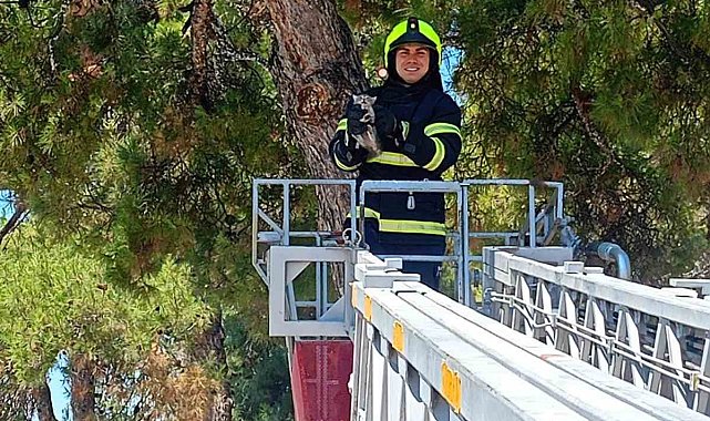 Balıkesir itfaiyesinden kedi kurtarma operasyonu