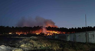 Balıkesir Savaştepe'de çıkan orman yangınına müdahale sürüyor