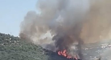 Balıkesir'de orman yangını