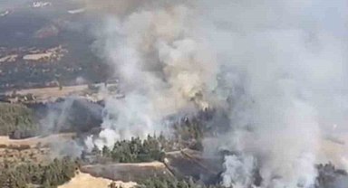 Balıkesir'de orman yangını