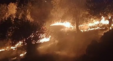 Balıkesir'de zeytinlik alanda çıkan yangına ekipler müdahale ediyor