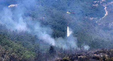 Balıkesir'deki orman yangınına havadan müdahale tekrar başladı
