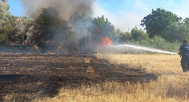 Balya makinesinden çıkan kıvılcım 200 dönümü yaktı