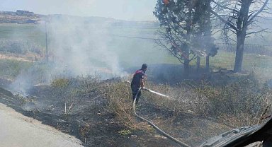 Bandırma'da farklı noktalarda çıkan ot ve çöp yangınları söndürüldü