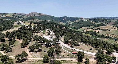 Başkan Ercan Özel: "Gönül rahatlığıyla Kozdere Çamlığı'nda piknik yapılabilir