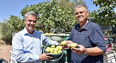 Başkan Erol'dan Taze İncir Festivaline davet