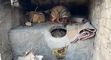 Batman'da ekmek tandırında uyuşturucu ele geçirildi