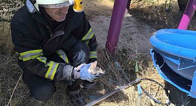 Batman'da kaydırağa sıkışan kediyi itfaiye ekipleri kurtardı