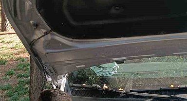 Batman'da otomobilin motoruna sıkışan kediyi itfaiye kurtardı