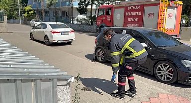 Batman'da tavan arasında sıkışan kedi kurtarıldı