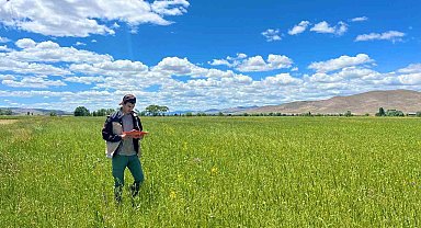 Bayburt'ta yem bitkileri ekim alanı tespit çalışmaları devam ediyor