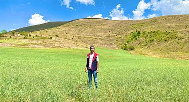 Bayburt'ta yem bitkileri için saha çalışmaları sürüyor