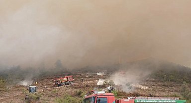 Bayırköy Belediyesi'nden Zobran köyünde çıkan yangına destek