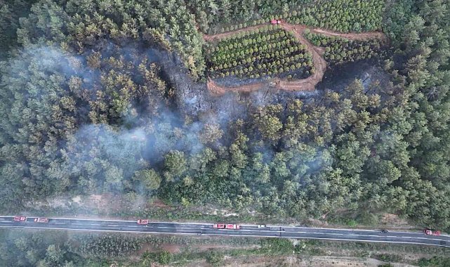 Bayramiç'teki orman yangını kontrol altına alındı